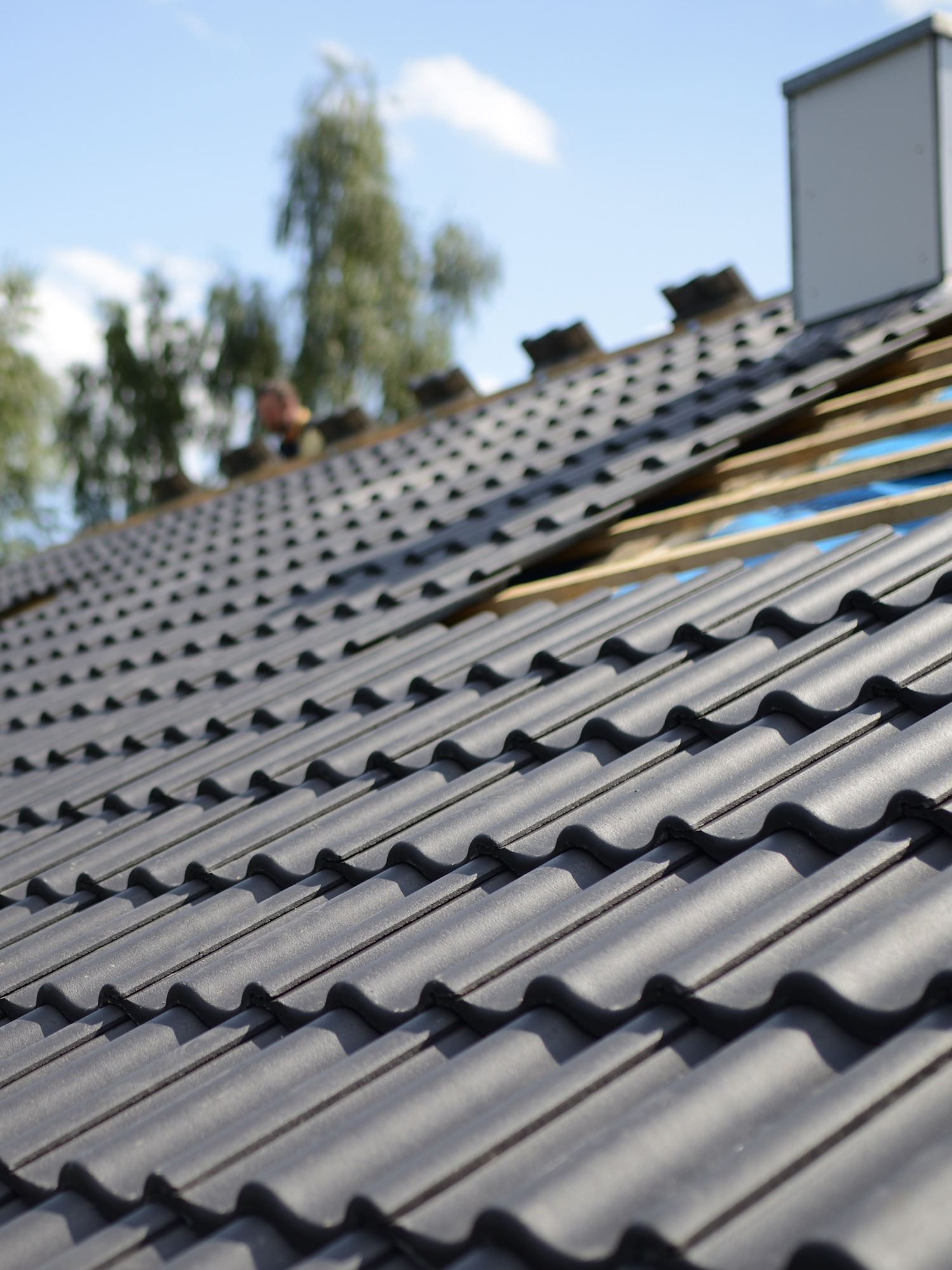 Roofing & Property Maintenance Services in Devon & Torquay