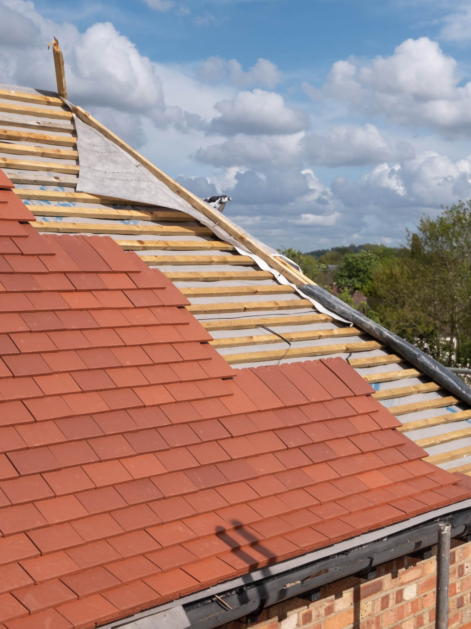 Roofing & Property Maintenance Services in Devon & Torquay